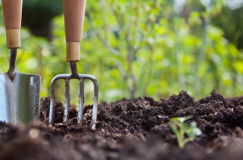 outils jardinage dans le jardin