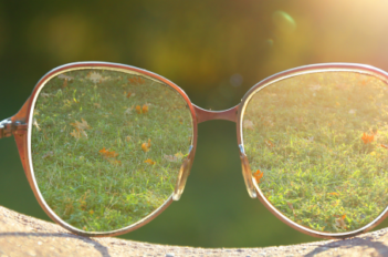 Lunettes dans jardin