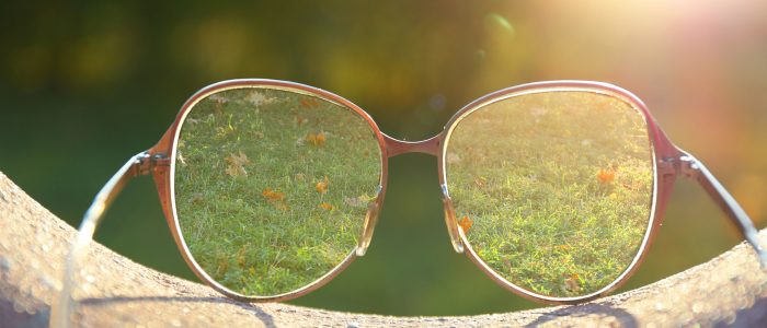 Lunettes dans jardin