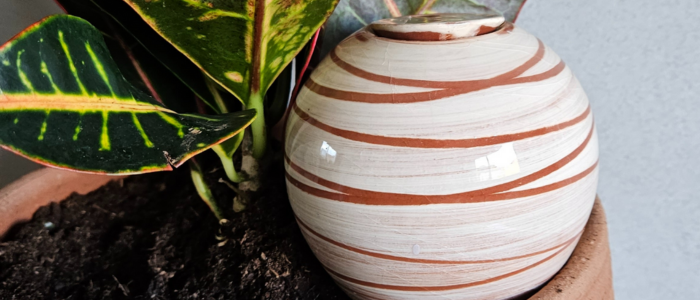 Olla a planter, décoration plante