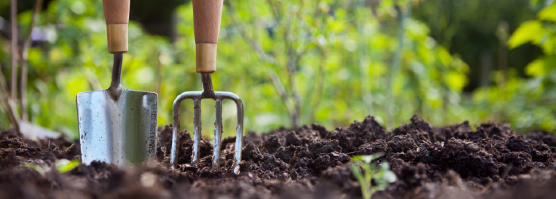 outils jardinage dans le jardin