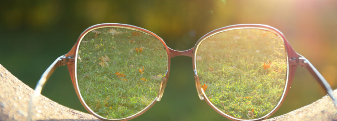 Lunettes dans jardin